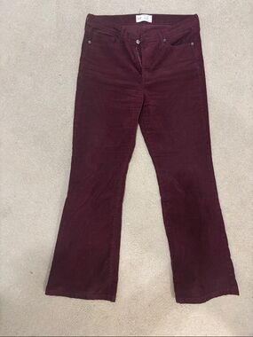 Maroon Gap Bootcut Pants